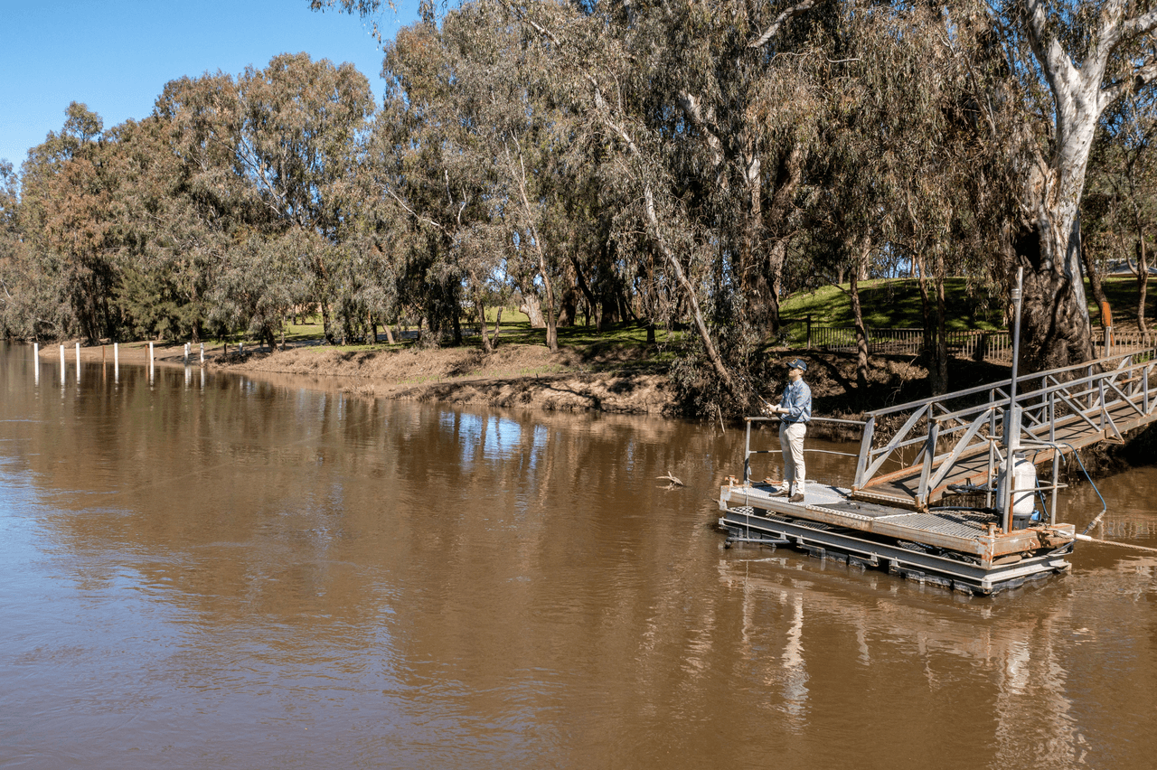 175 Eunony Bridge Road, NORTH WAGGA WAGGA, NSW 2650