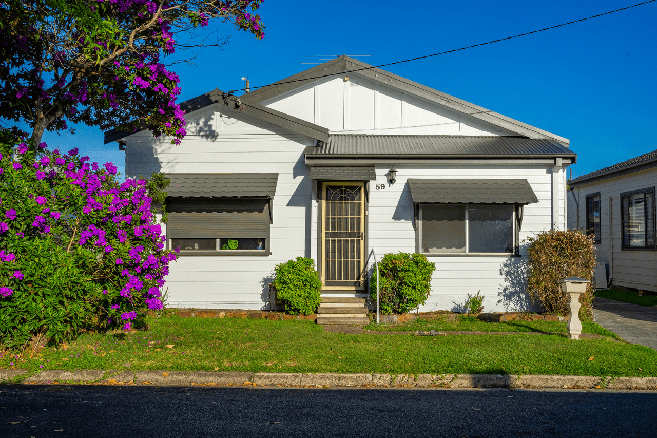59 Asher Street, GEORGETOWN, NSW 2298