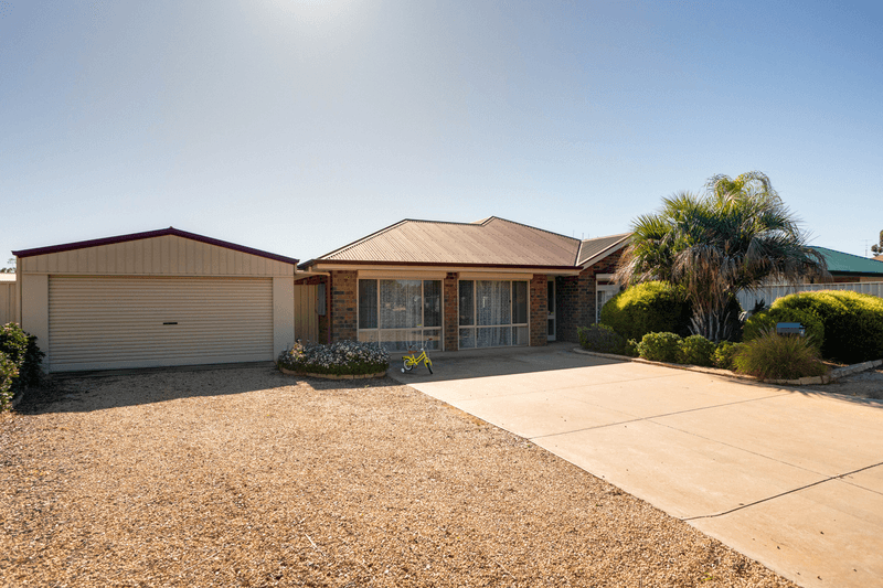 17 Rosenthal Drive, BERRI, SA 5343