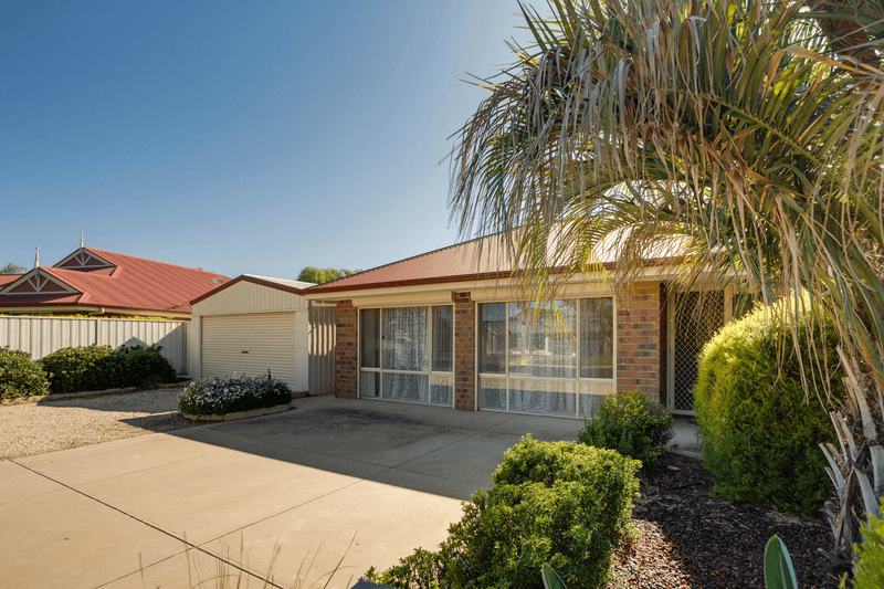 17 Rosenthal Drive, BERRI, SA 5343