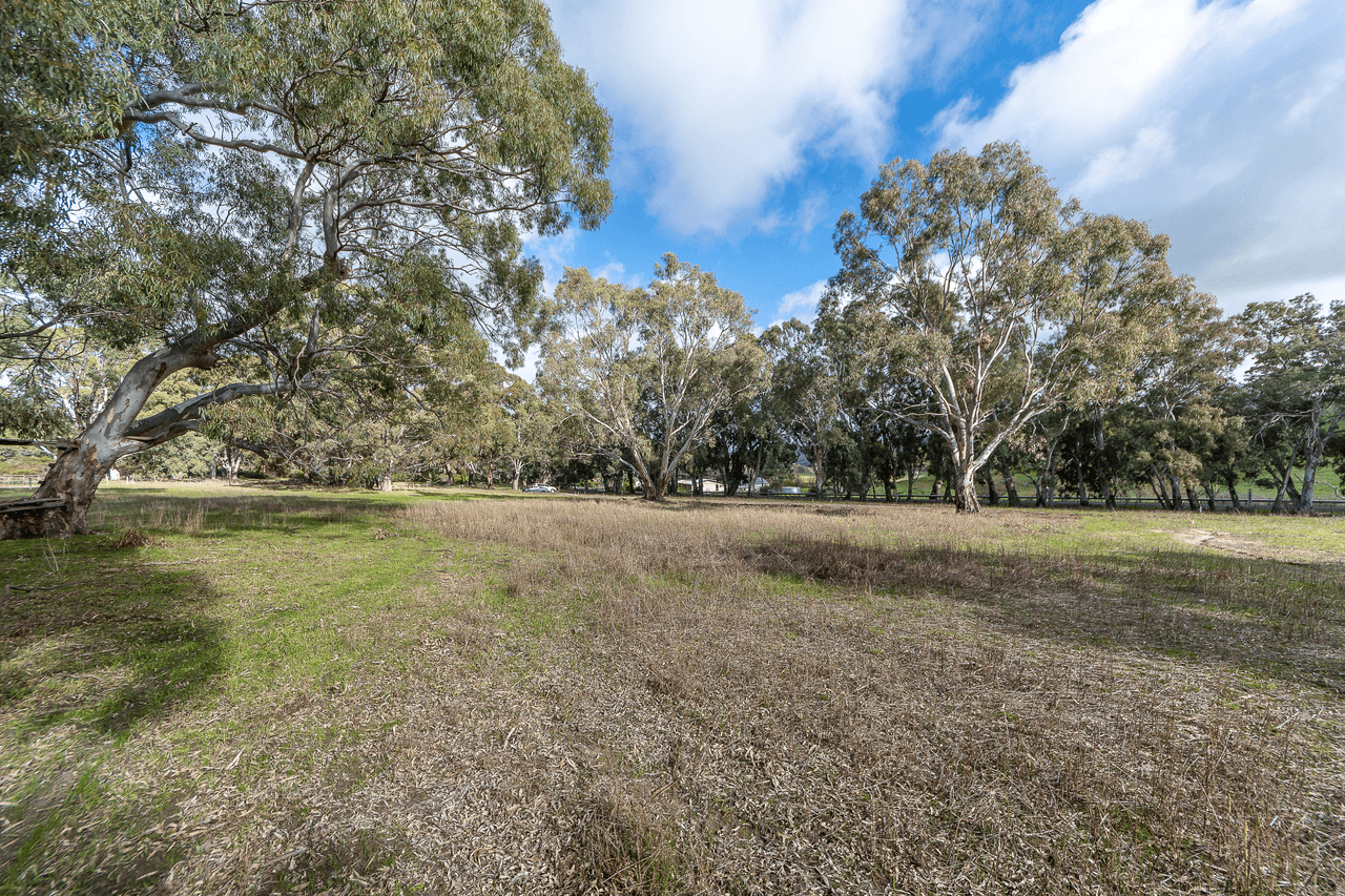 1261 Bull Creek Road, ASHBOURNE, SA 5157