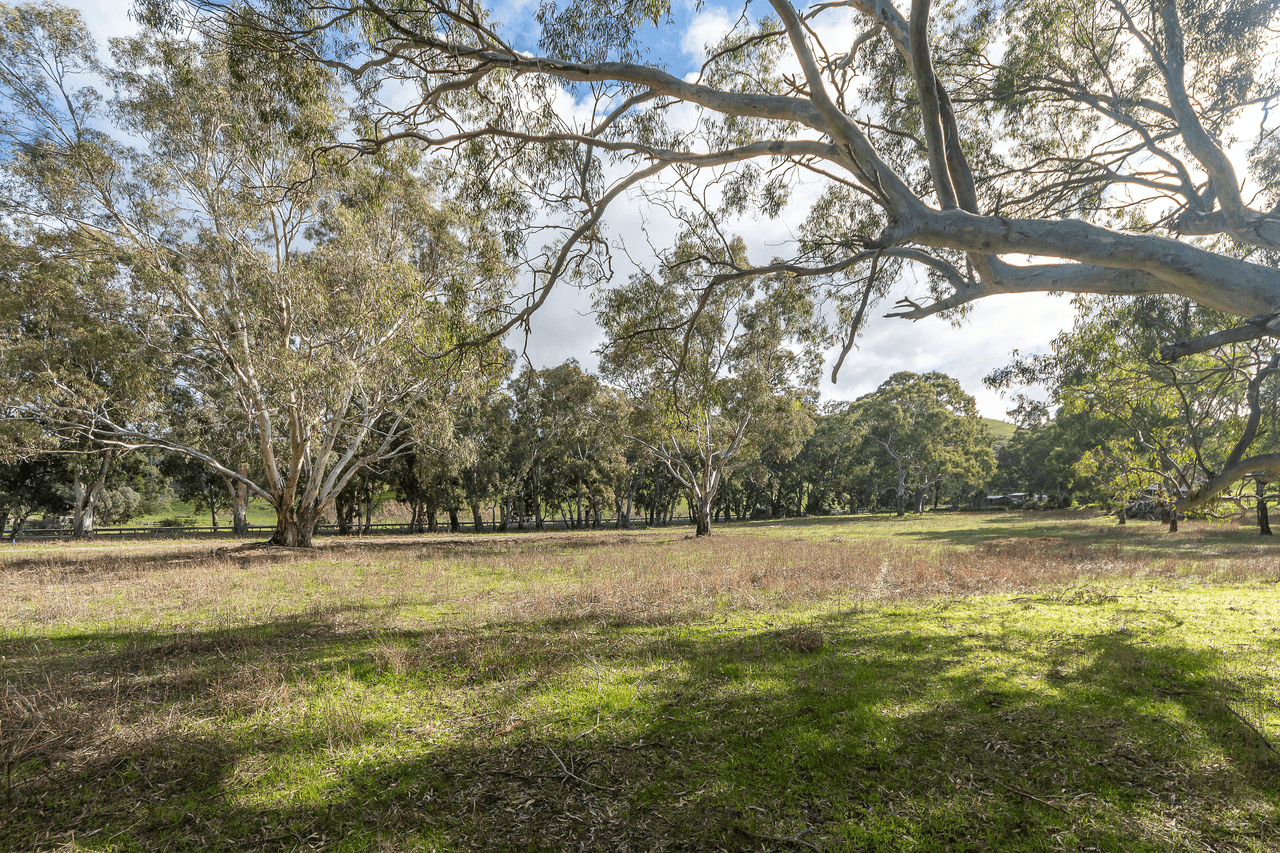 1261 Bull Creek Road, ASHBOURNE, SA 5157