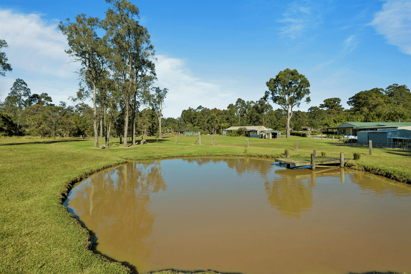 4 Carlyle Close, JILLIBY, NSW 2259