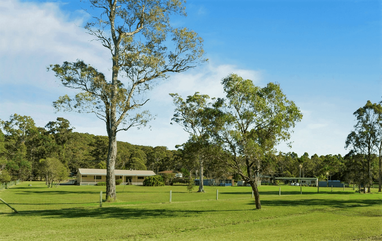 4 Carlyle Close, JILLIBY, NSW 2259