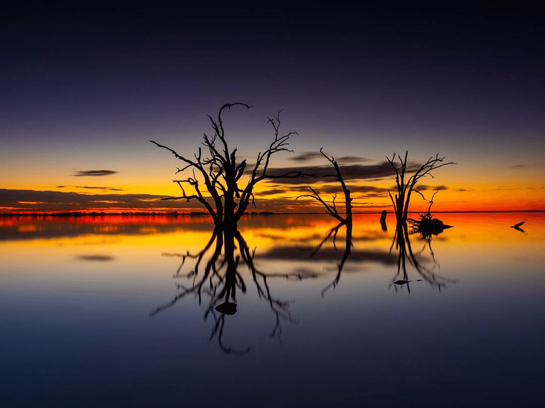 Site ESS4 Lake Bonney Discovery Park, BARMERA, SA 5345