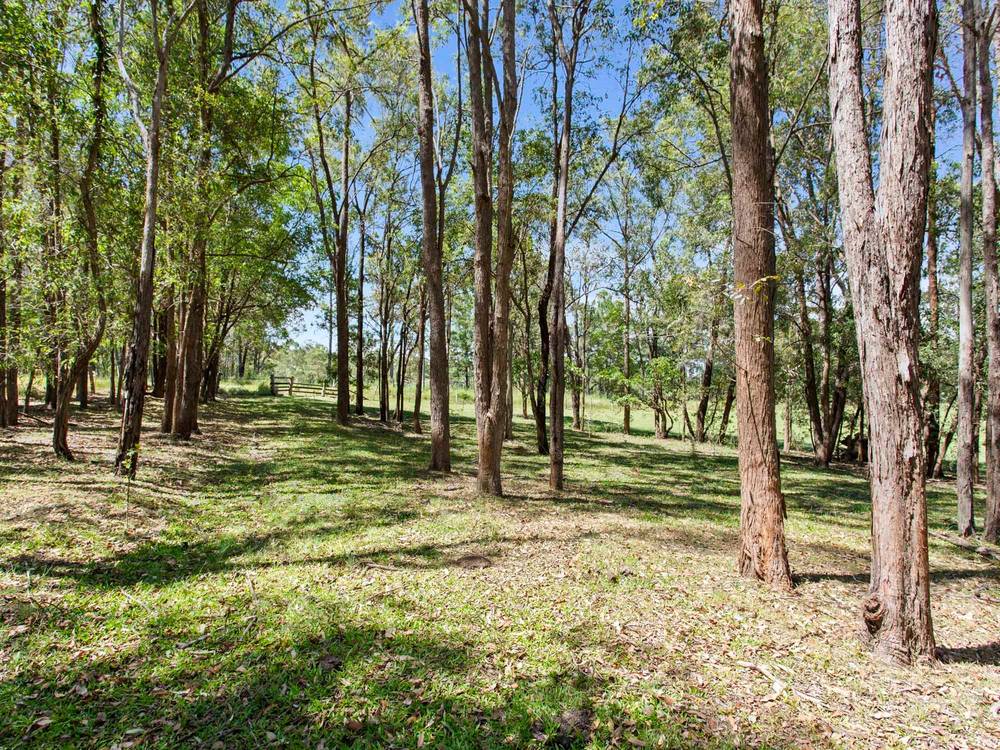 87-111 MCCONNELL ROAD, WAMURAN, QLD 4512