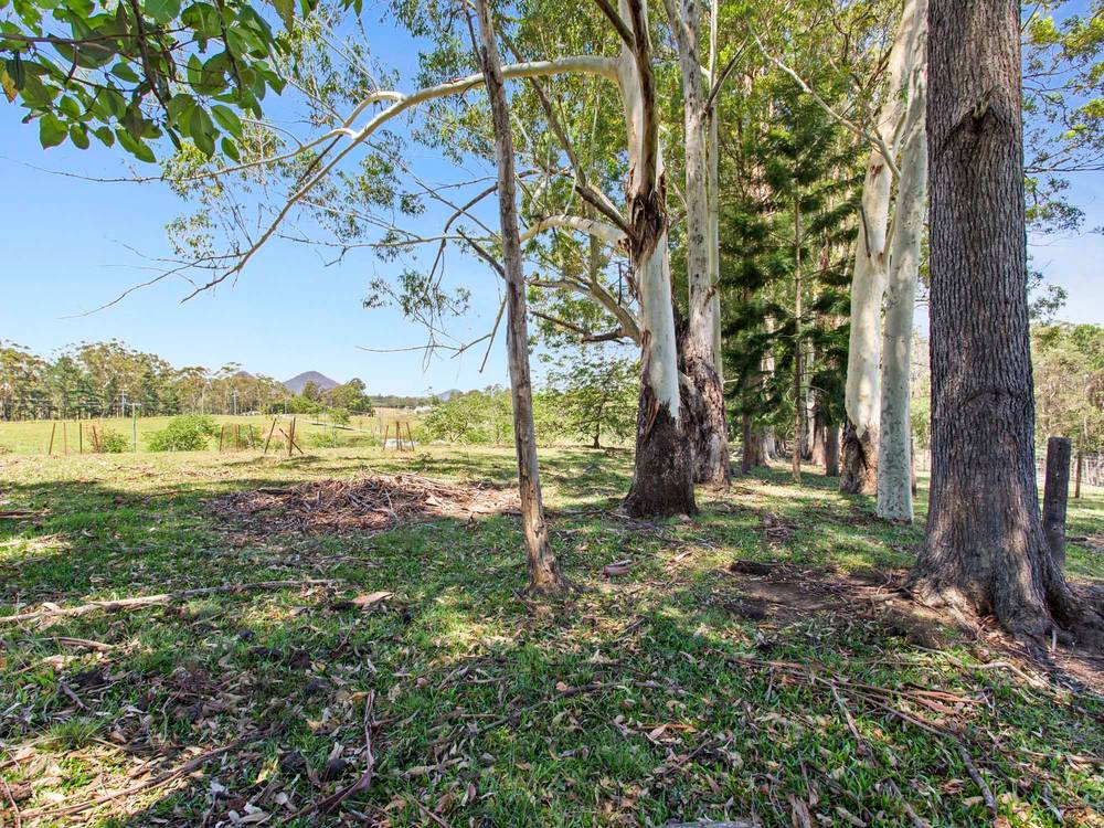 87-111 MCCONNELL ROAD, WAMURAN, QLD 4512