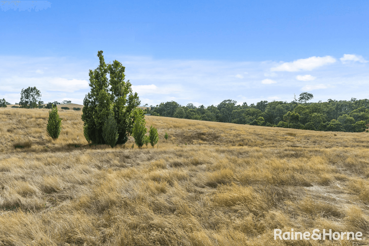 10 David Drive, TARADALE, VIC 3447