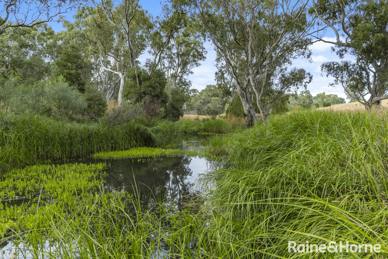 10 David Drive, TARADALE, VIC 3447