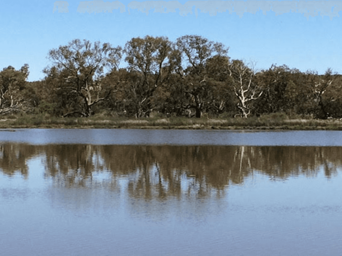 Pelican Drive, Mannum, SA 5238