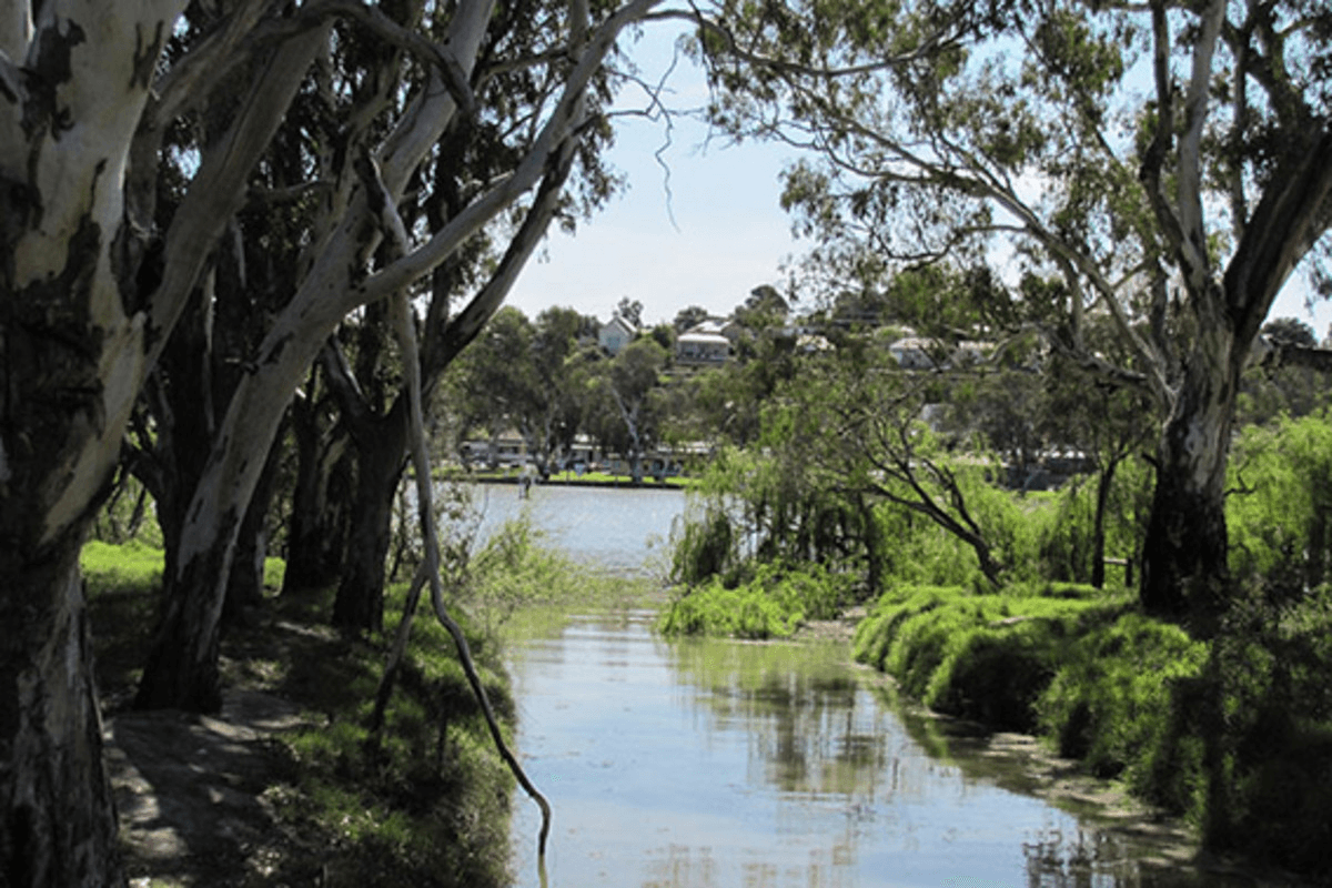 Pelican Drive, Mannum, SA 5238