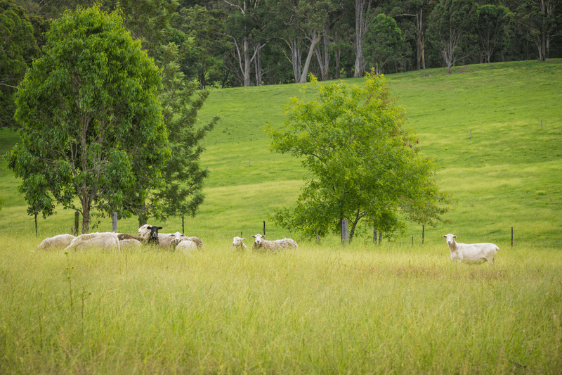 9914 Princes Highway, COBARGO, NSW 2550