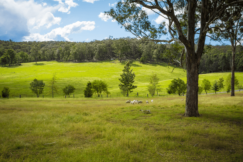 9914 Princes Highway, COBARGO, NSW 2550