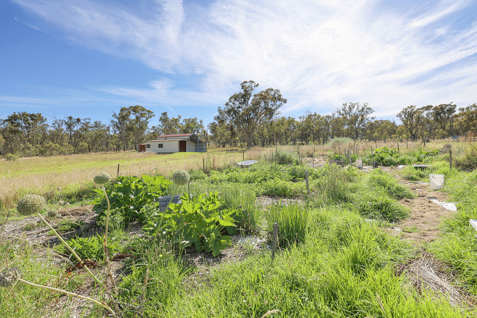 10 Watsons Creek-Tilmunda Road, WATSONS CREEK, NSW 2355