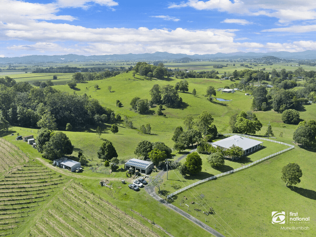 1283 Urliup Road, Dulguigan, NSW 2484