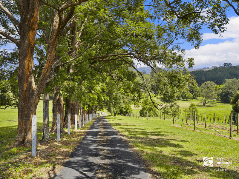 1283 Urliup Road, Dulguigan, NSW 2484