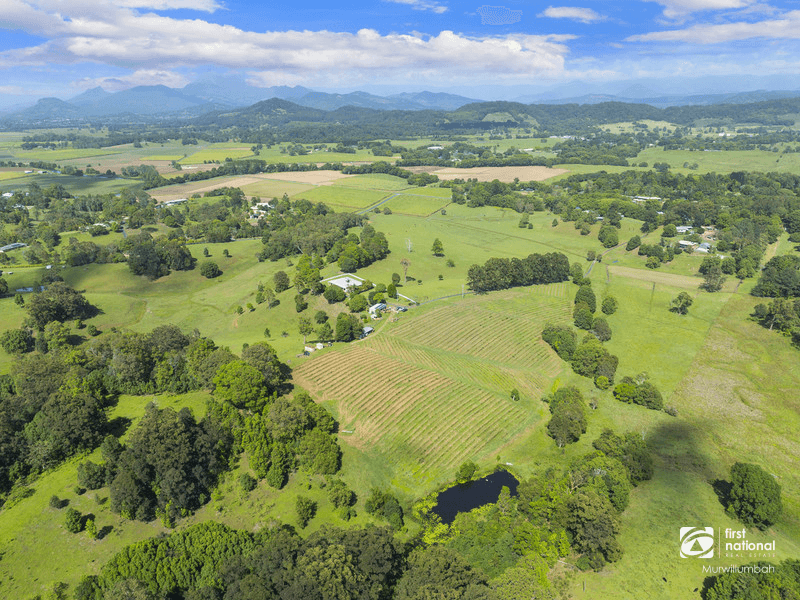 1283 Urliup Road, Dulguigan, NSW 2484