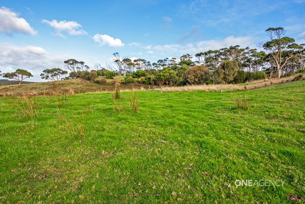 213 Green Point Road, Marrawah, TAS 7330