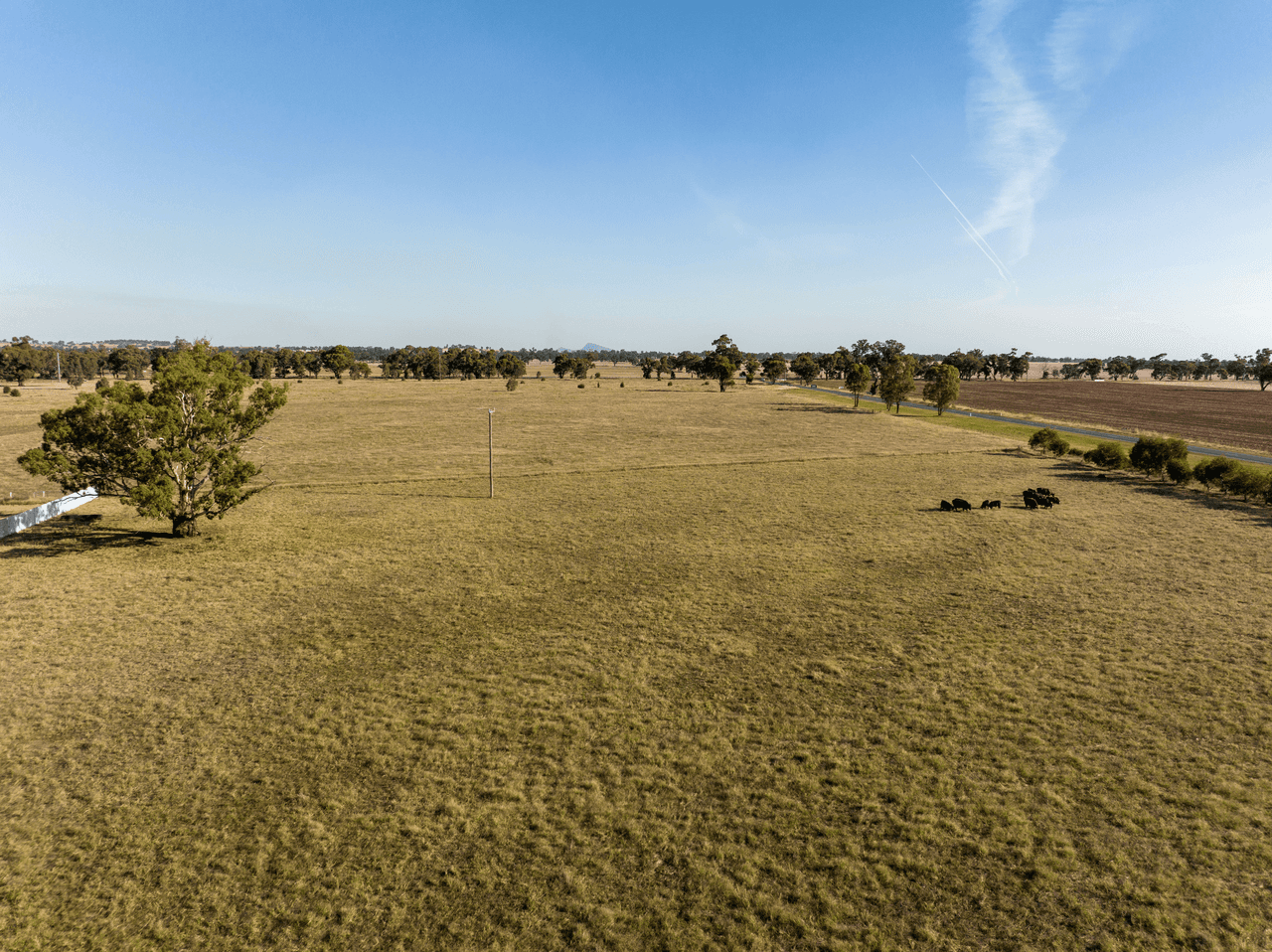 58 Mundowy Lane, COLLINGULLIE, NSW 2650