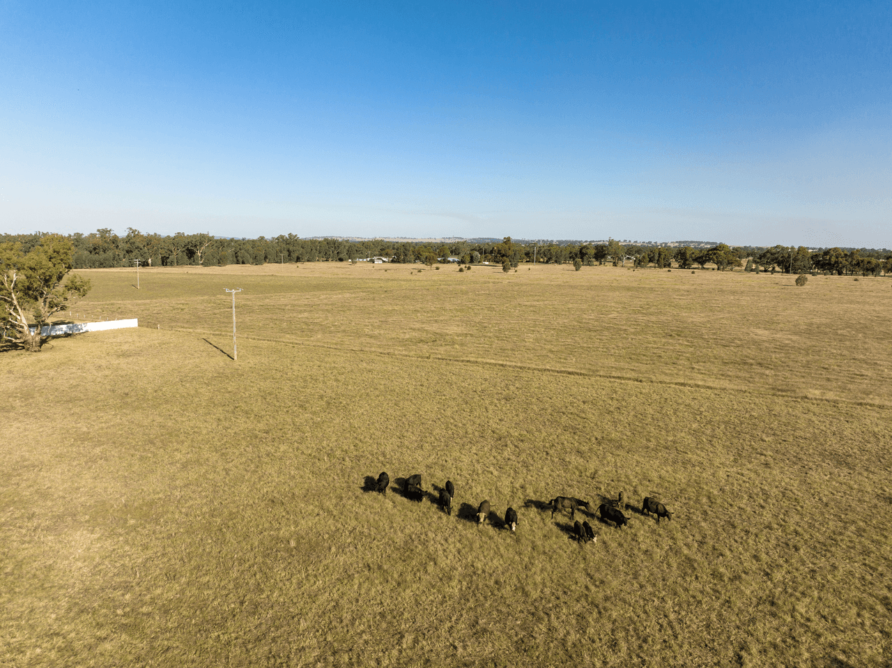 58 Mundowy Lane, COLLINGULLIE, NSW 2650