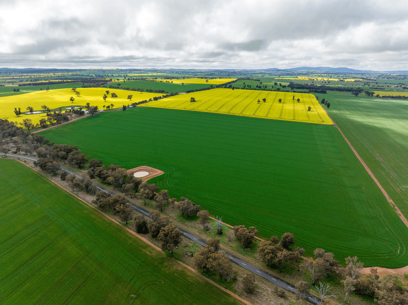 120 Clear Hills Road, JUNEE REEFS, NSW 2666