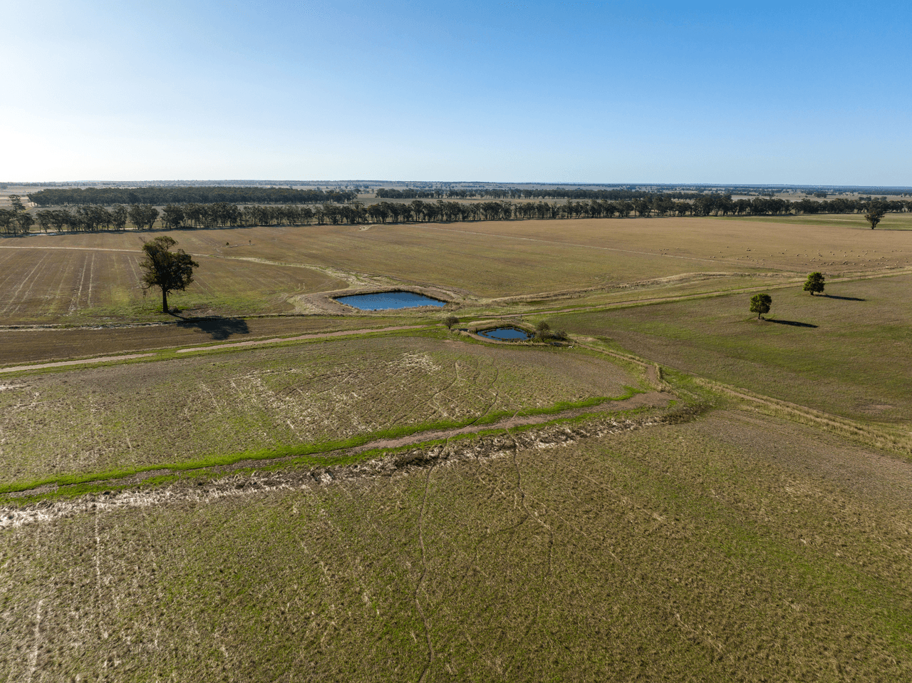 886 Tara-Bectric Road, Quandary via, TEMORA, NSW 2666