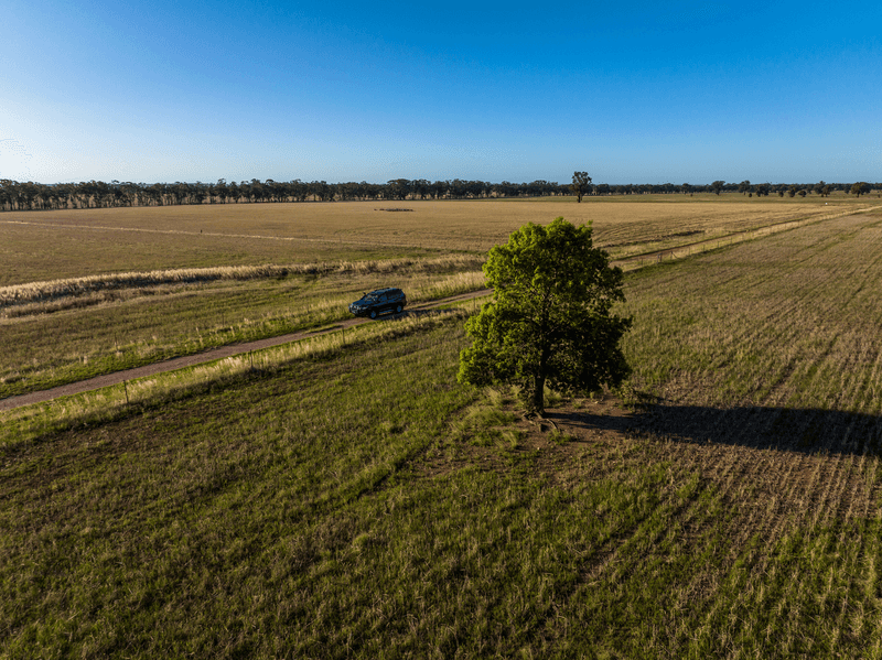 886 Tara-Bectric Road, Quandary via, TEMORA, NSW 2666