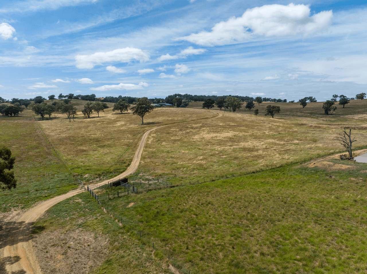 71 Abbots Lane, LADYSMITH, NSW 2652