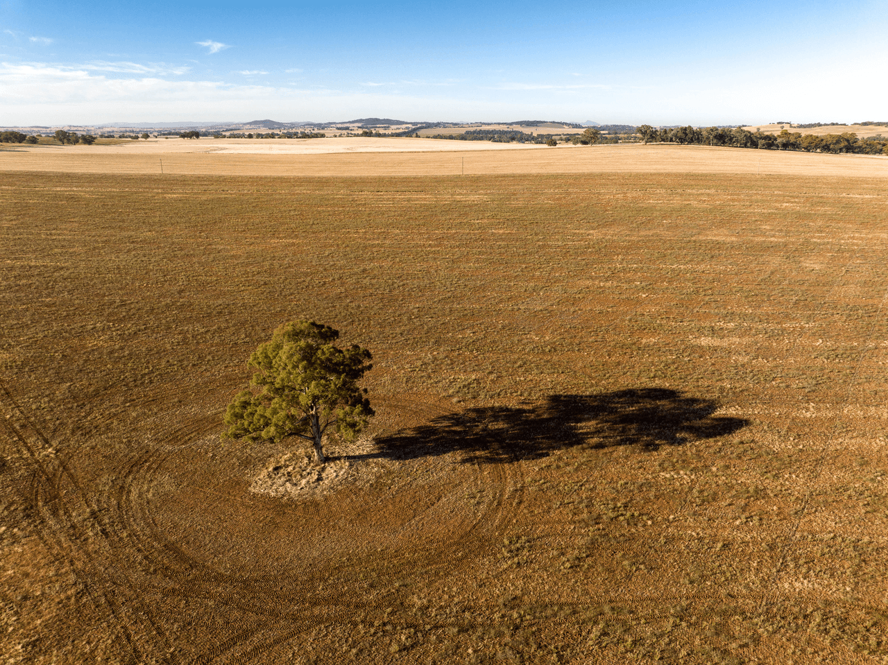 2204 Tooyal Road, COOLAMON, NSW 2701