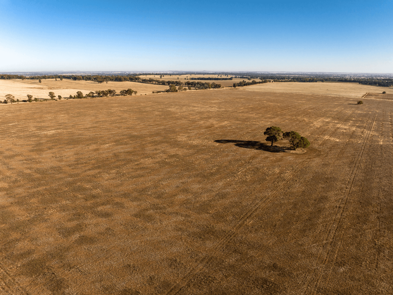 2204 Tooyal Road, COOLAMON, NSW 2701