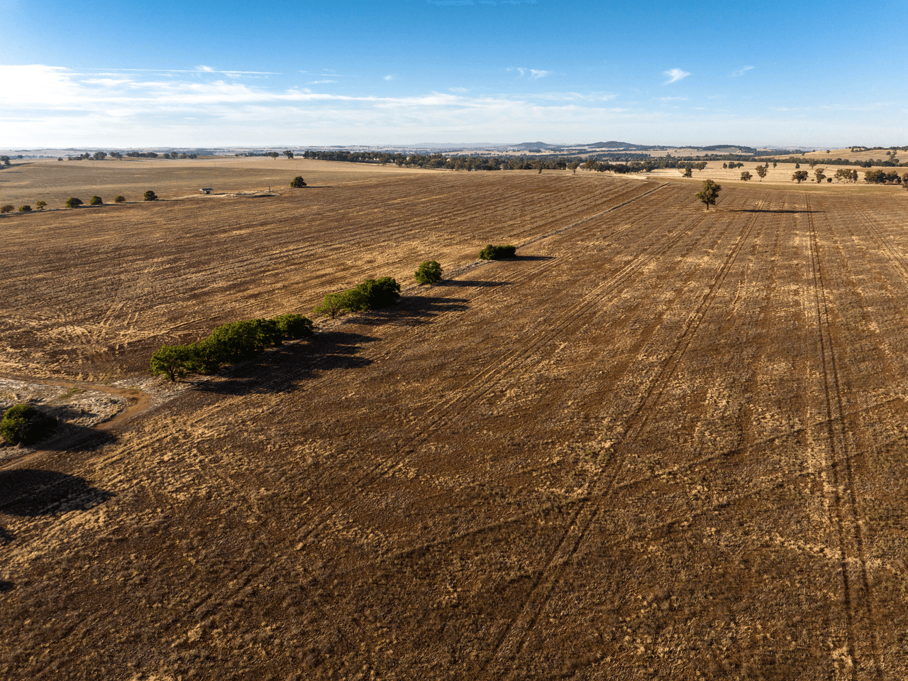 2204 Tooyal Road, COOLAMON, NSW 2701