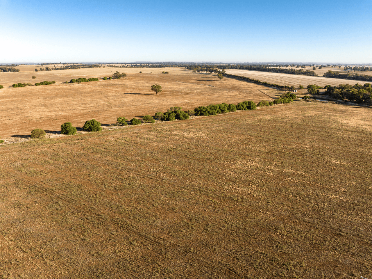 2204 Tooyal Road, COOLAMON, NSW 2701