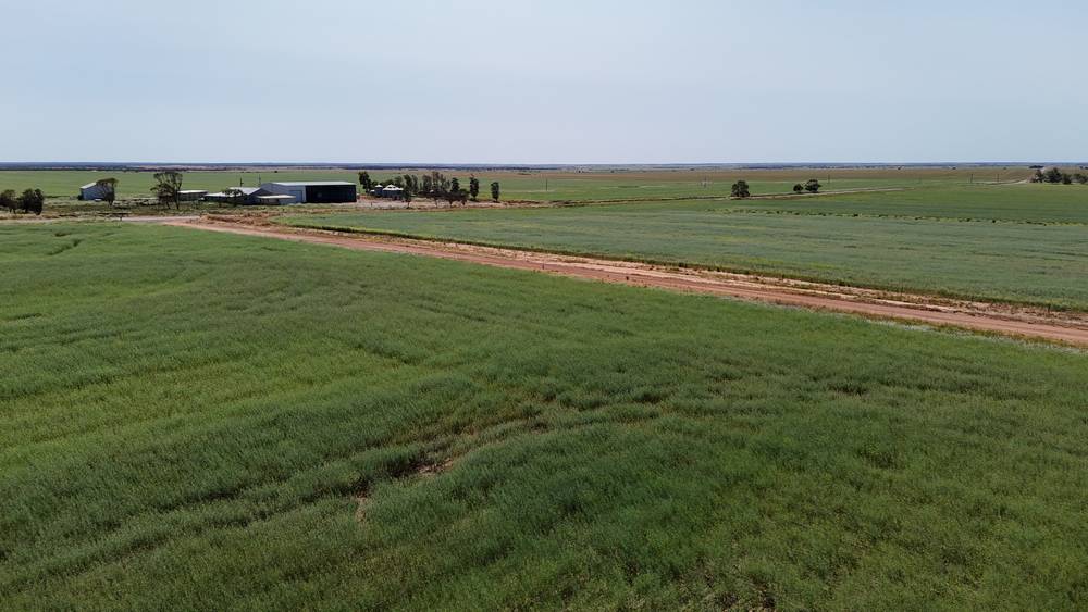 2064 Binnu Road East, OGILVIE, WA 6535
