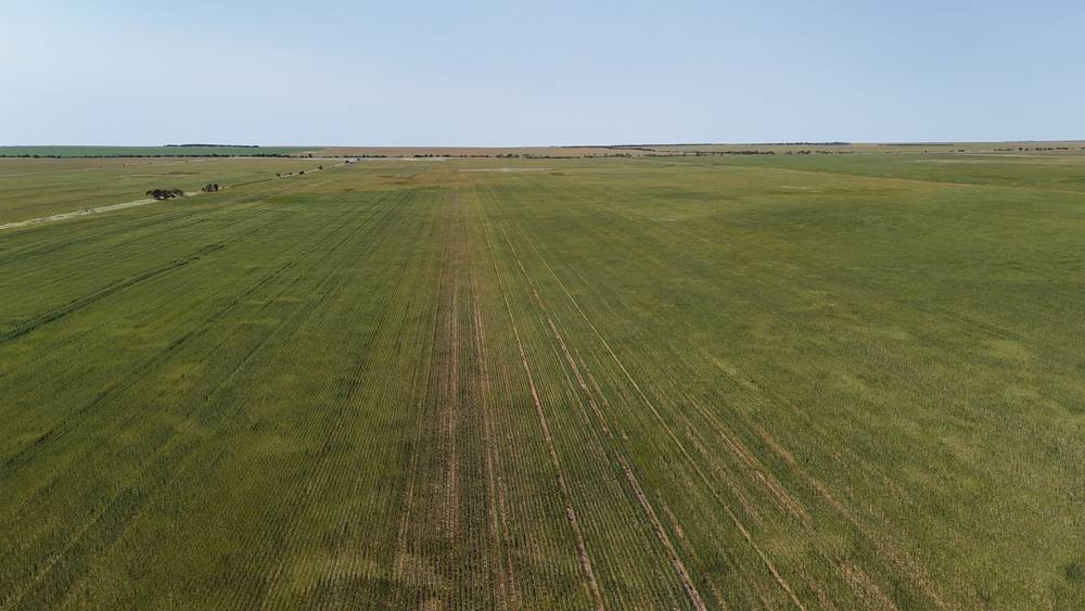 2064 Binnu Road East, OGILVIE, WA 6535