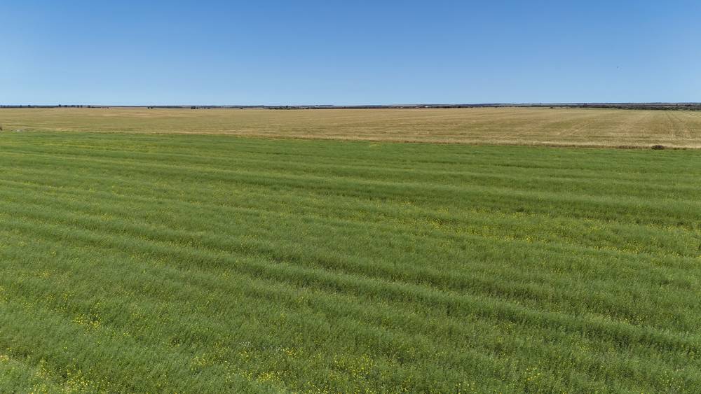 2064 Binnu Road East, OGILVIE, WA 6535