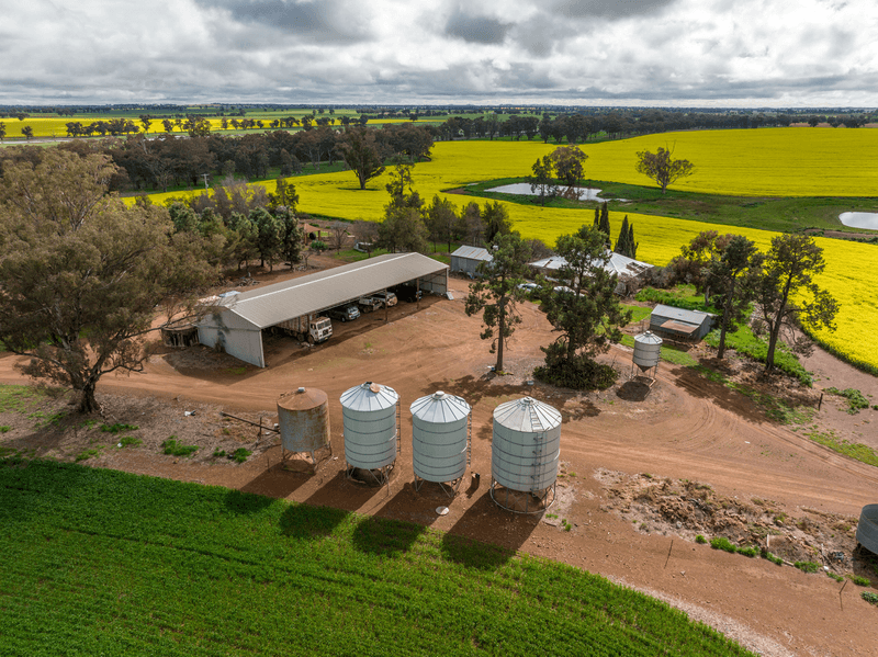 120 Clear Hills Road, JUNEE REEFS, NSW 2666