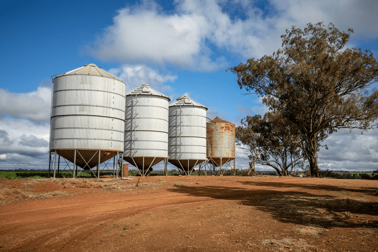 120 Clear Hills Road, JUNEE REEFS, NSW 2666