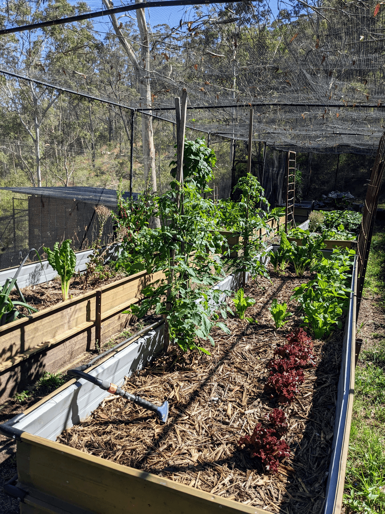 9868A Bruxner Highway, TENTERFIELD, NSW 2372