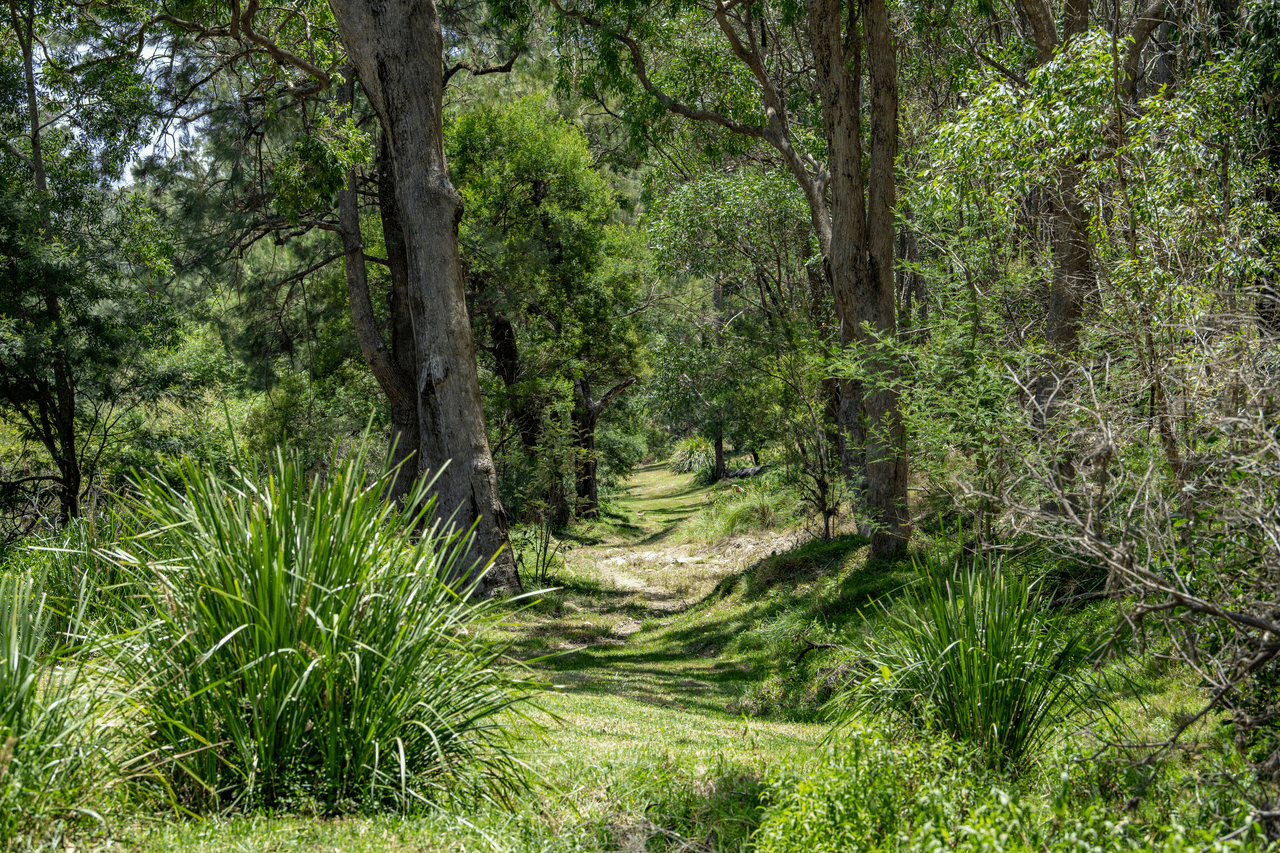9868A Bruxner Highway, TENTERFIELD, NSW 2372