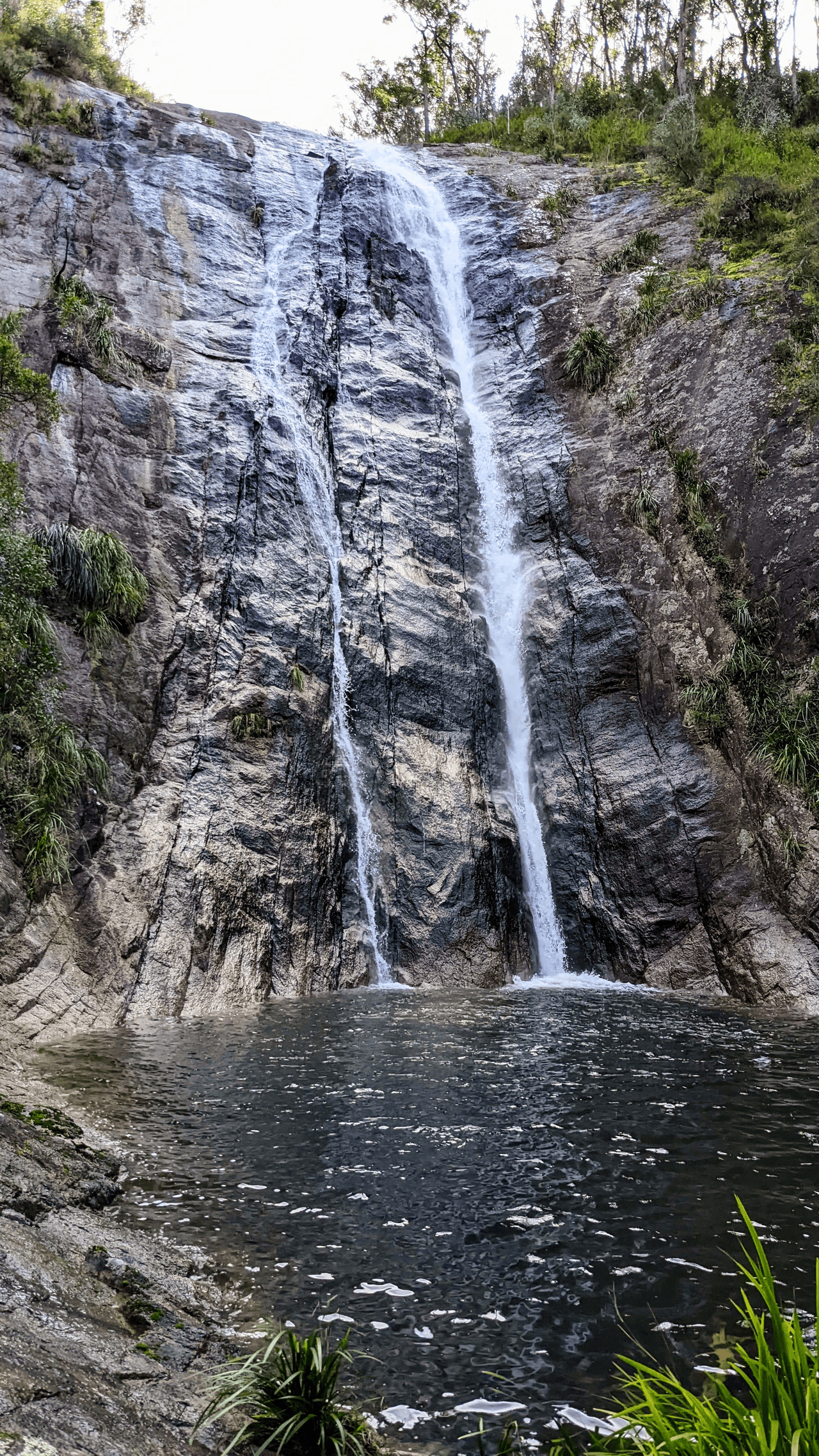 9868A Bruxner Highway, TENTERFIELD, NSW 2372