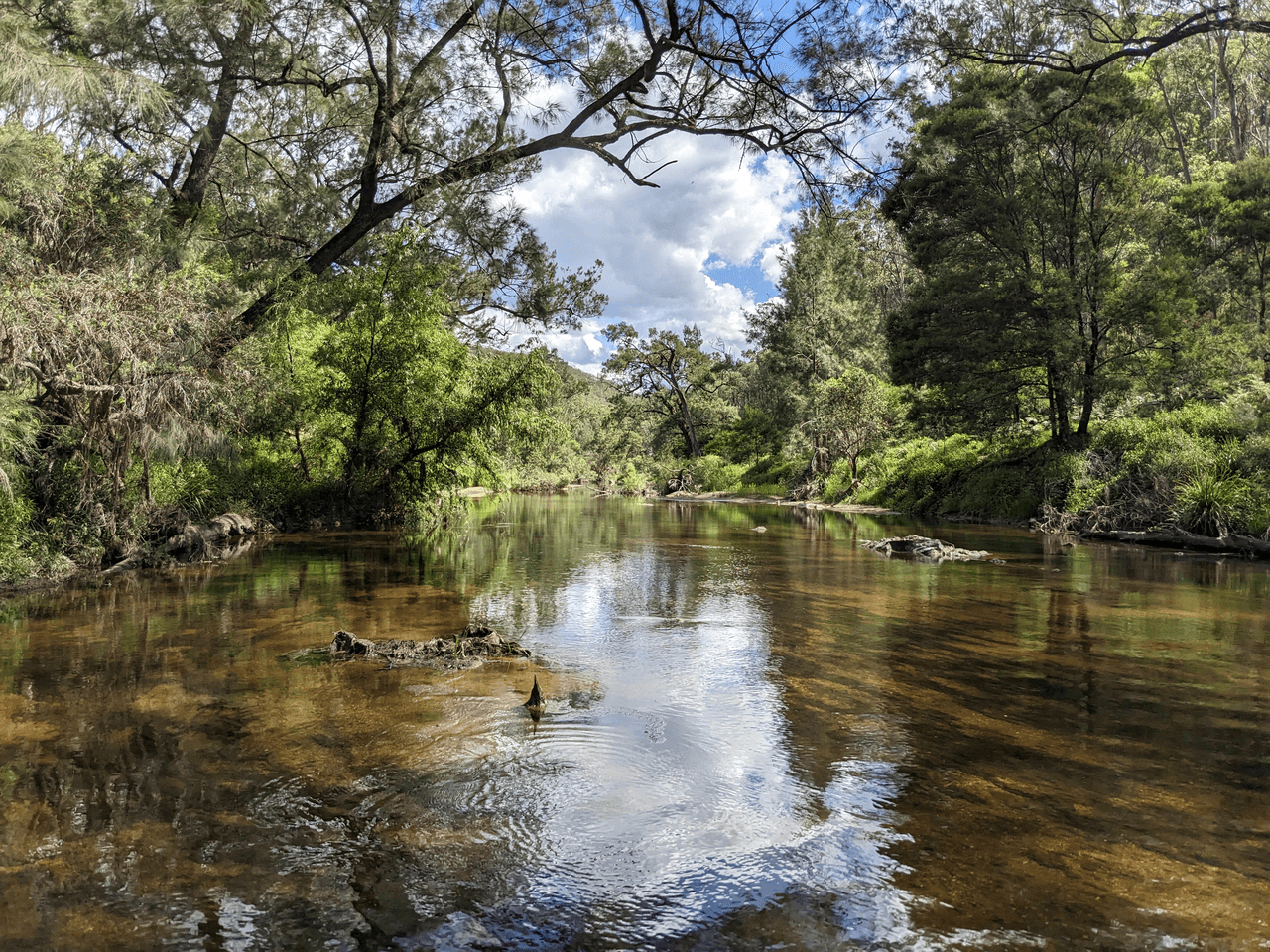 9868A Bruxner Highway, TENTERFIELD, NSW 2372