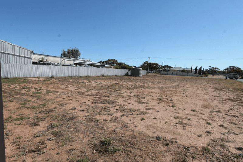 12 McKenzie Street, COWELL, SA 5602