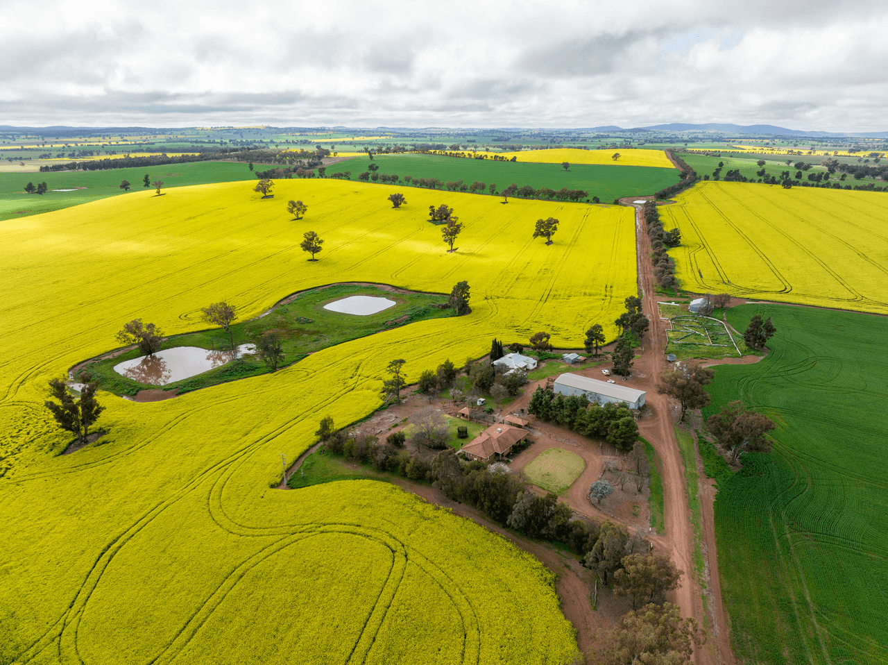 120 Clear Hills Road, JUNEE REEFS, NSW 2666