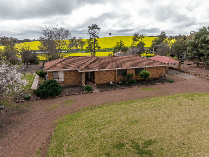 120 Clear Hills Road, JUNEE REEFS, NSW 2666