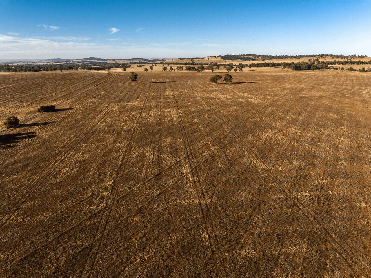 2204 Tooyal Road, COOLAMON, NSW 2701