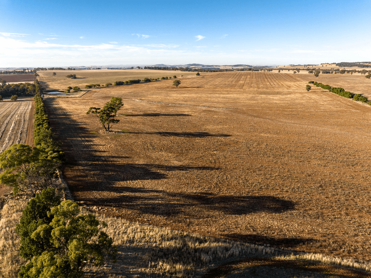 2204 Tooyal Road, COOLAMON, NSW 2701