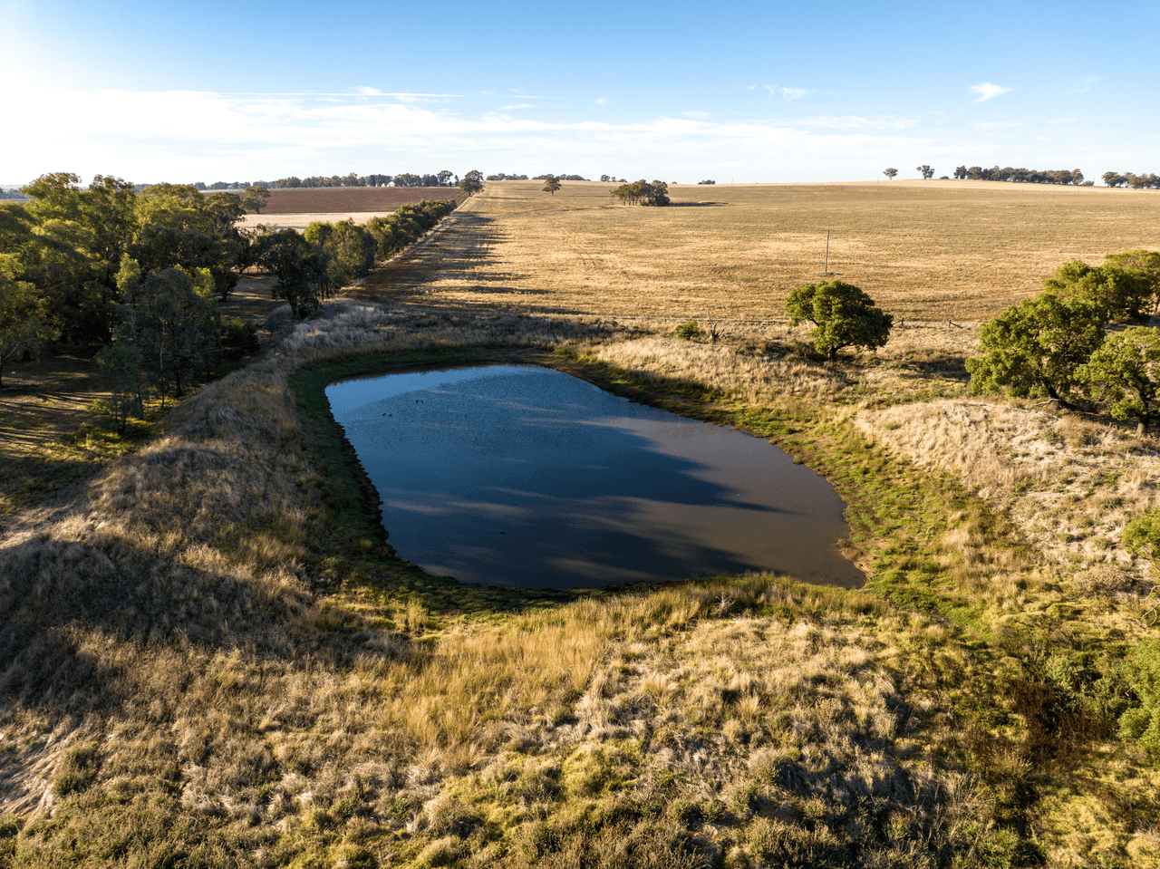 2204 Tooyal Road, COOLAMON, NSW 2701