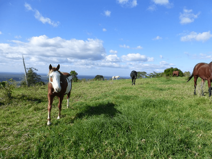 240 Freshneys Road, KANIGAN, QLD 4570