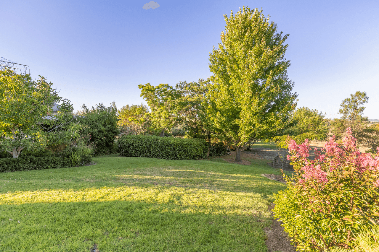 667 Big Springs Road, BIG SPRINGS, NSW 2650