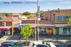 256 Canley Vale Road, Canley Heights, NSW 2166